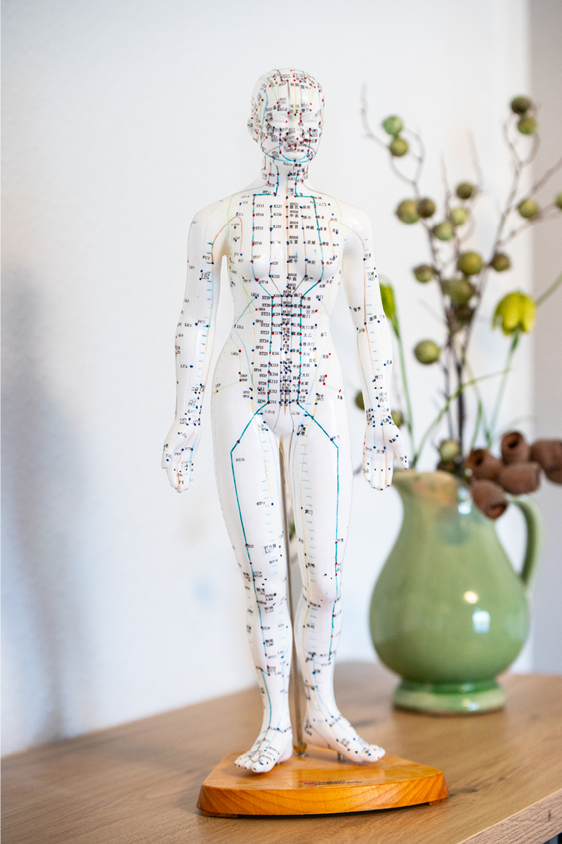 Akupunkturmodell Frau PhysioNatura Wipperfuerth